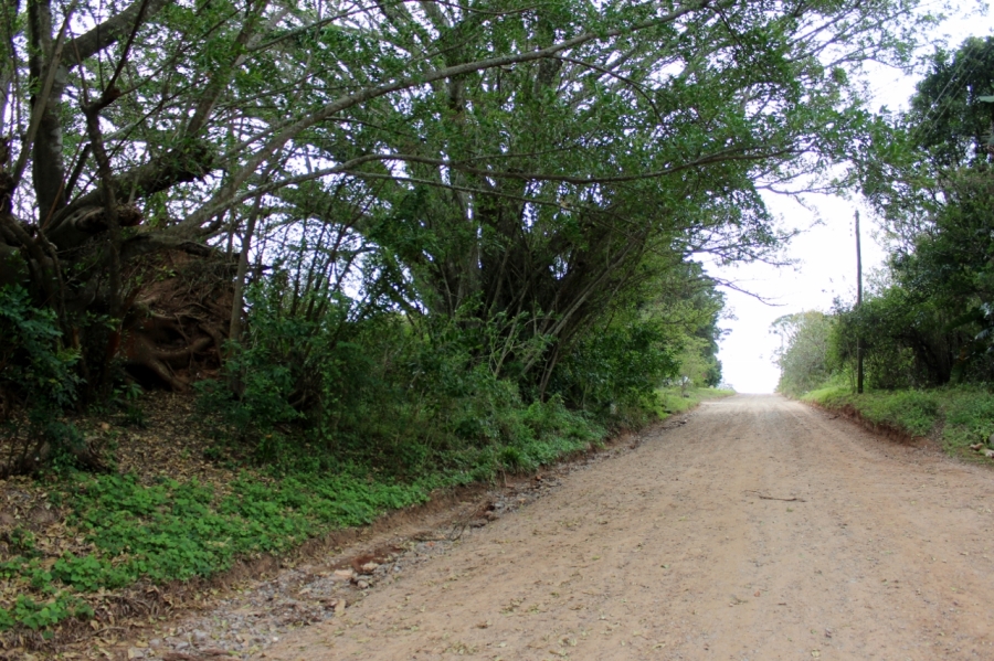 4 Bedroom Property for Sale in Bathurst Eastern Cape